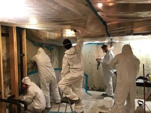 911-restoration-Boulder-Mold Removal